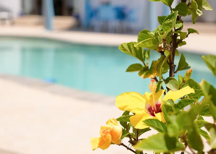 Linda * פלאיה בלנקה